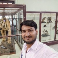 Prit Kumar Tiwari