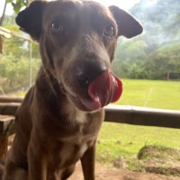 Isabella maria Alcivar