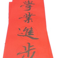 Lixia Snow