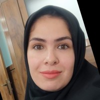 tayebe moradi