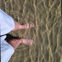 Patrick van der Hoeven