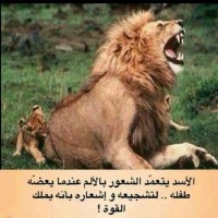 محمد الحسن