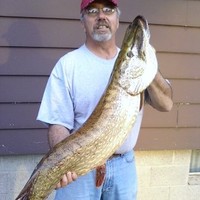 Steve Kellner