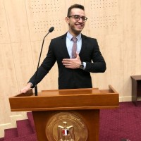 Ahmed Mostafa, Dip Ifr