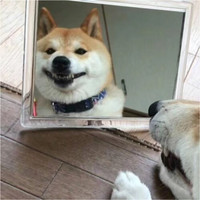 姜腾飞