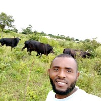 Aminudine Mussa Assane