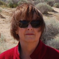 Donna Harvey