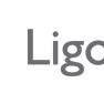 Ligowave India