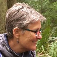 CLARE TAYLOR