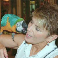 Debbie Dailey