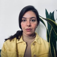 Mariana Haesbaert Dipp