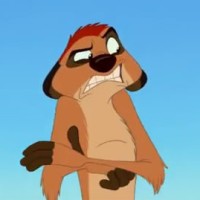 Mohammed Bin Rasheed