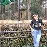 Divya Tomar