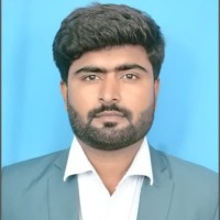 Mohammad Faisal Beg