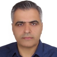 Hossein Zolfi