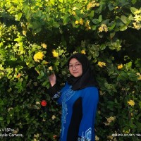 Amira Term