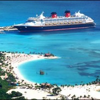 Cruise Guy