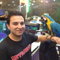 zryan mohsin