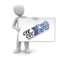 CFE-CGC ITS GROUP