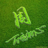 周迎光