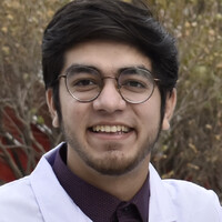 Mohammed Adil