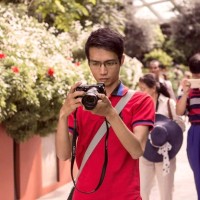 surya nugroho