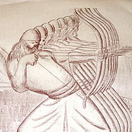 Domagoj Jamicic