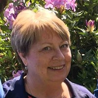 Judi Wheeler