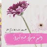 تهاني الربيلي