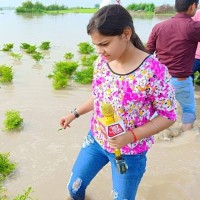 Amolasheel Shukla