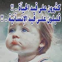 Alaa Moh