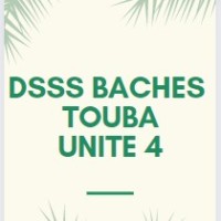 Fallé Bamba Lo