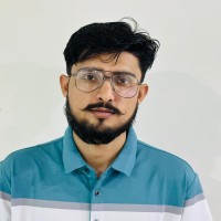 Muhammad Hamza Junaid Warraich