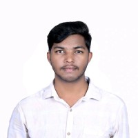 Sarathi P