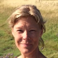 Lotta Enberg
