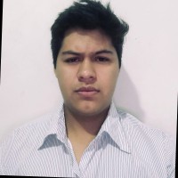 Luis Bryant Eduardo Bustos Medina