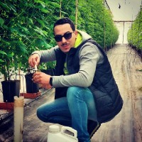 Hassan Alounan