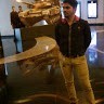 atik shaikh