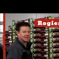 Rogier Giesbertz
