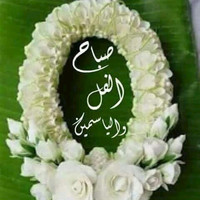 Mohammad Hassan