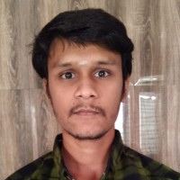 Vighnesh P
