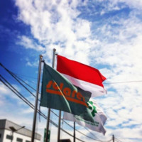 Solarens Sales Marketing