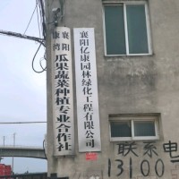 康文军