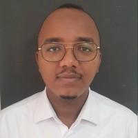 Hosam Alden Ali