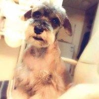 马东阳
