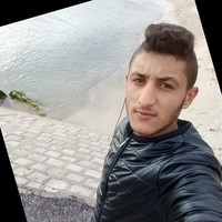 Salem Dridi