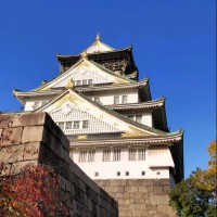 丁建武