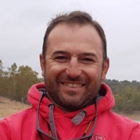 David Domas