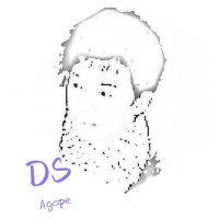 Daniel S.