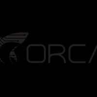 Orca Group
